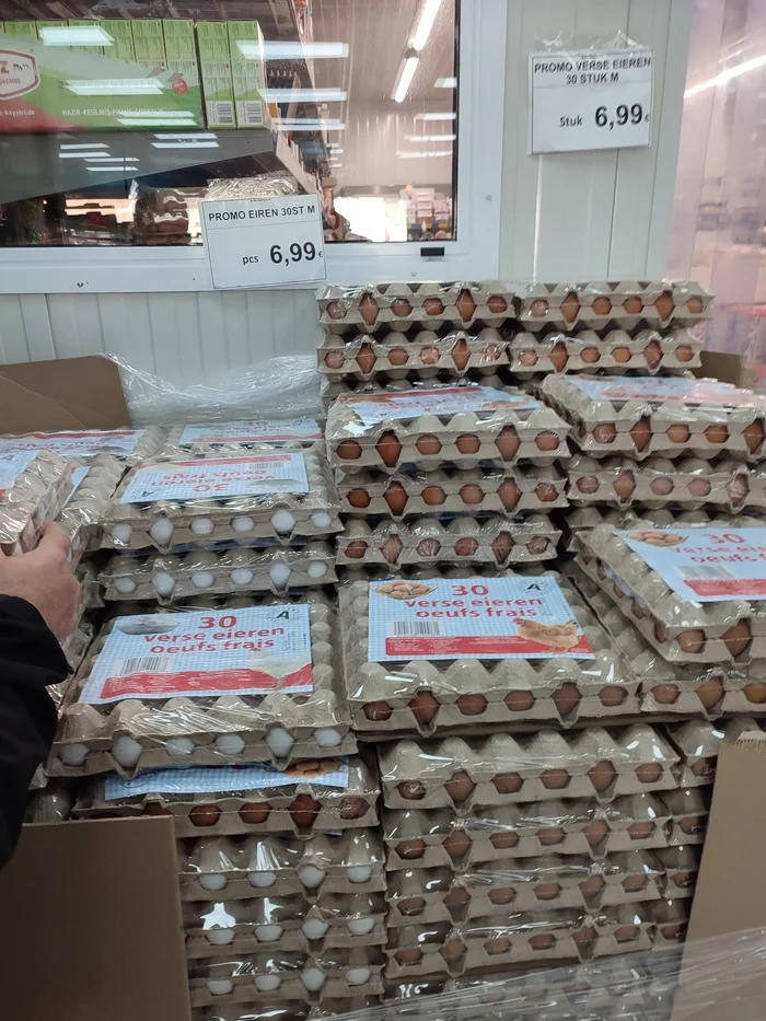 Цена жизни Бельгия Бельгия, Европа, Цены, Прогулка, Работа, Видео, Короткие видео, Длиннопост