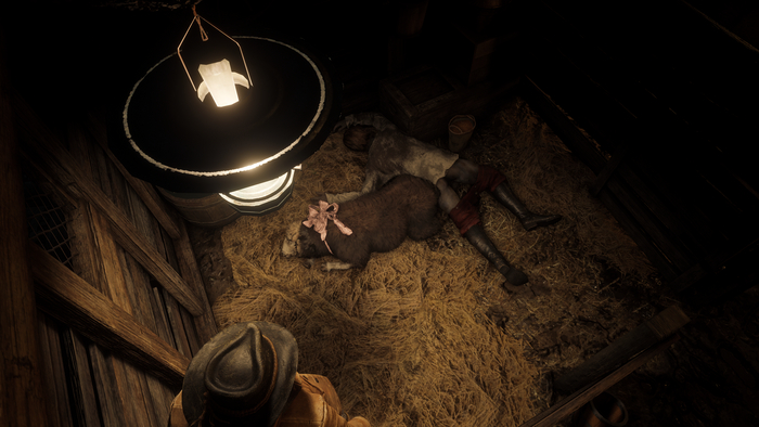     RDR2  ...