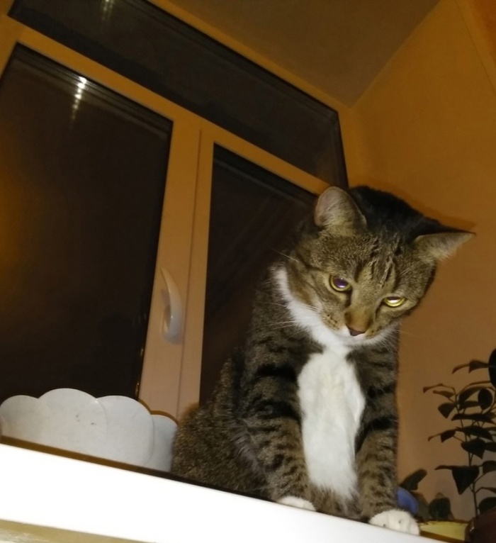    :    , , ,  , ,  ,   