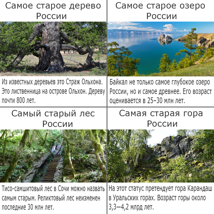 ����� � ��������� #28