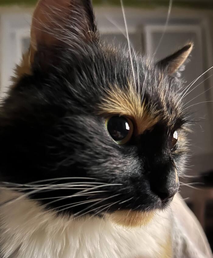    :    , , ,  , ,  ,   , 