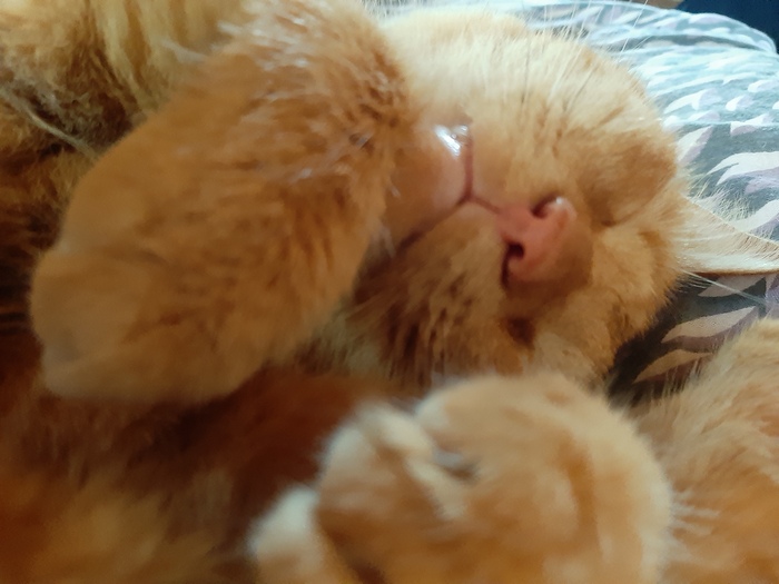    :    , ,  , ,  ,   , 