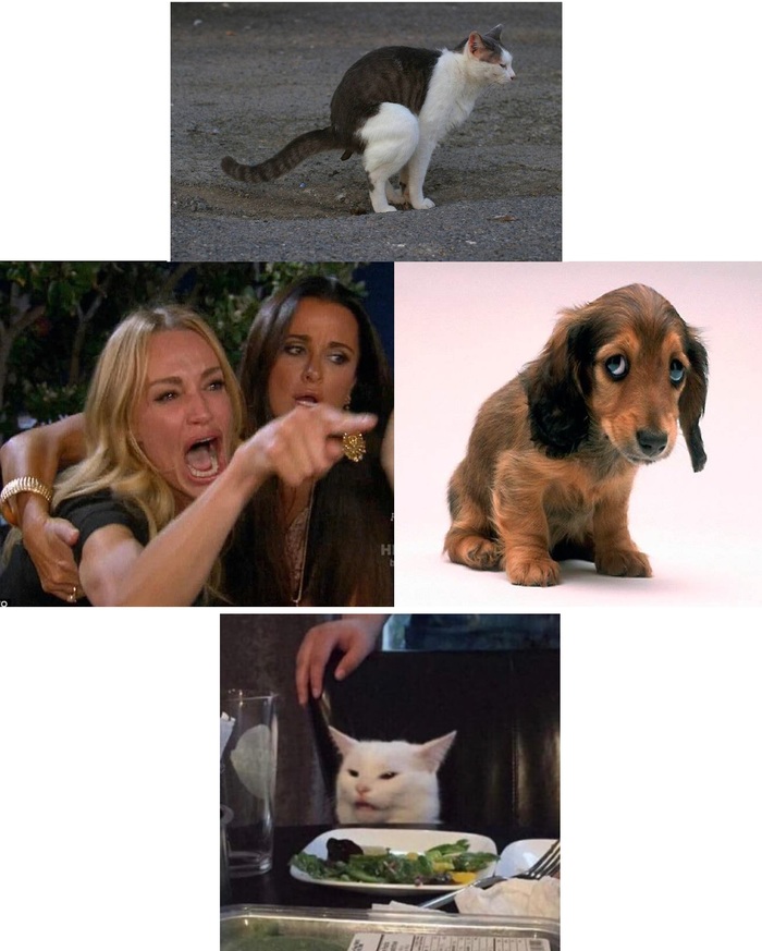 ����� �� ���� ������ ��� ���� ��������