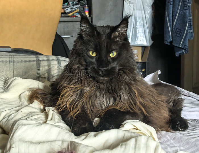 Когда задумался о смысле жизни.