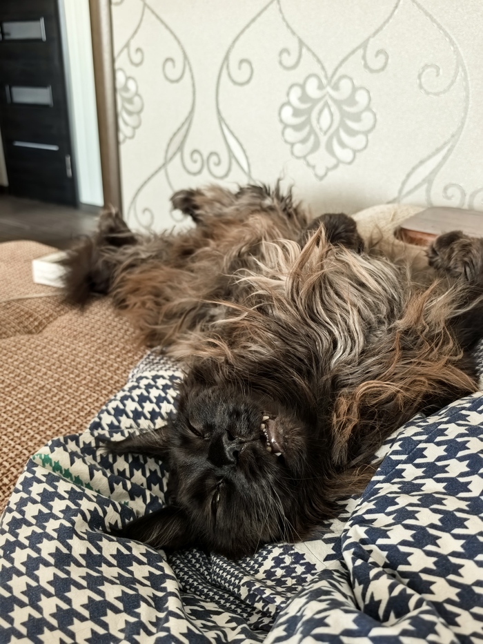 Эксперт международного класса по выбору кайфовых поз для сна