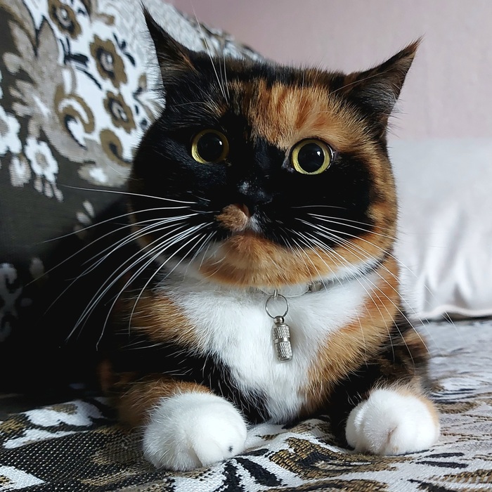    :    ,  , ,  ,  ,   