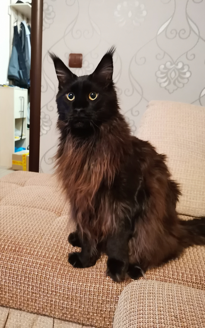 Сама красота и элегантность