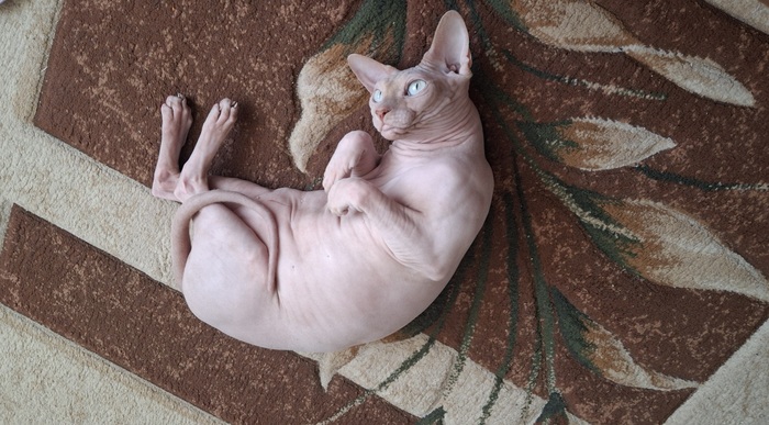 ˸.  ˸