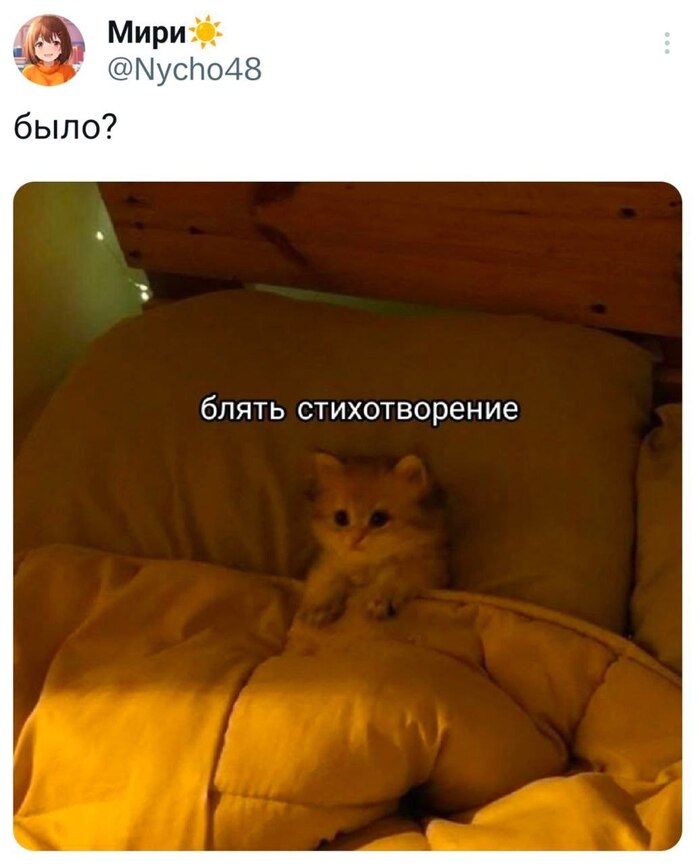 ��, �������