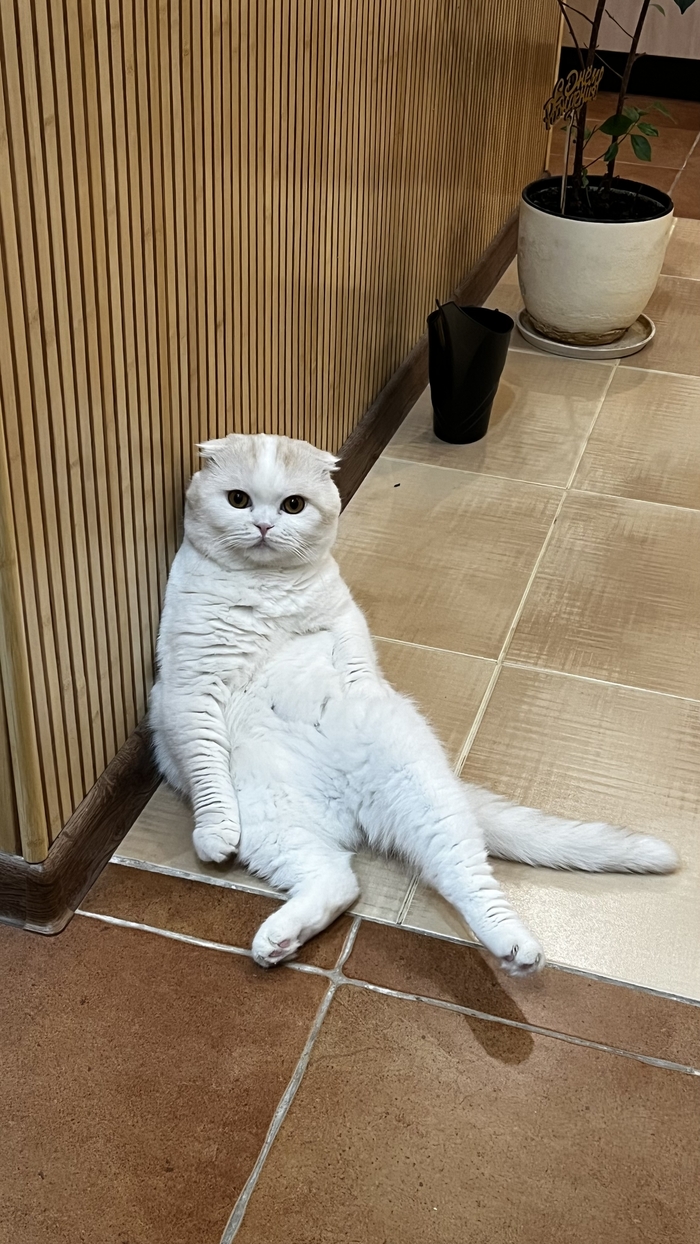    :    , , ,  , ,  ,   