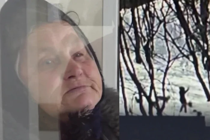 Закон об умерщвлении собак выстрадан детскими смертями - Бродячие собаки, Радикальная зоозащита, Освв, Видео, Видео вк, Короткие видео, Длиннопост, Негатив, ВКонтакте (ссылка), Волна постов