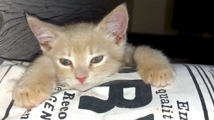 3 ������