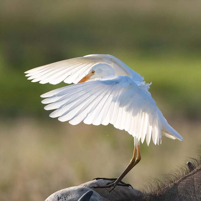         , , ,  ,  ,   , , 