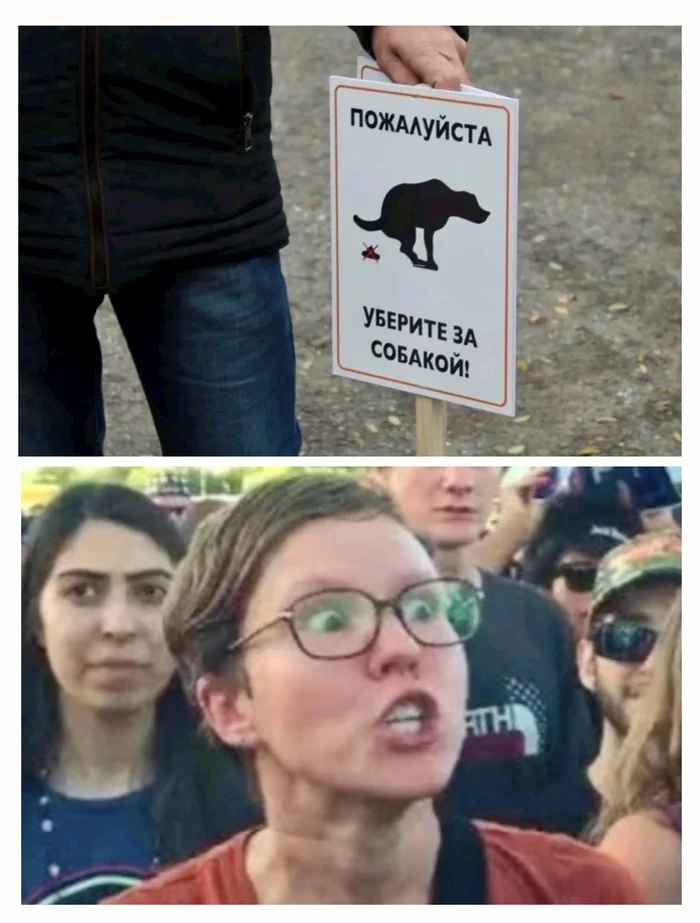 Dog owners are going crazy over this bait - My, Radical animal protection, Табличка, Clean up after yourself, Crucian carp gets sick from this groundbait, Picture with text