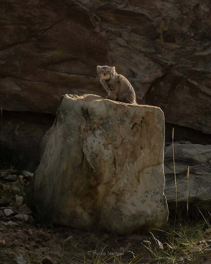 Гранитной скалы хозяйка