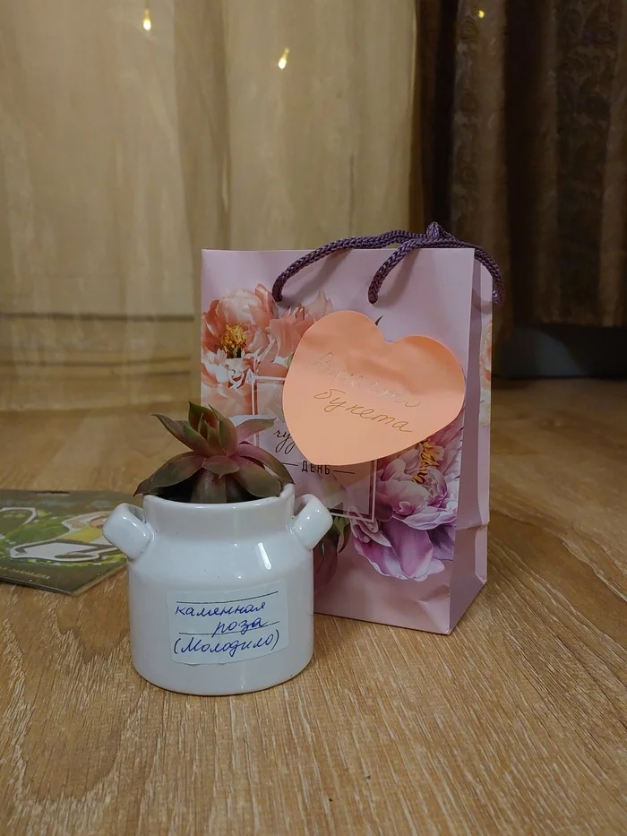 ADM / Sock-flower project 5.0 / Saint Petersburg - Saint Petersburg - My, Gift exchange, Secret Santa, March 8 - International Women's Day, Spring, 2025, Longpost