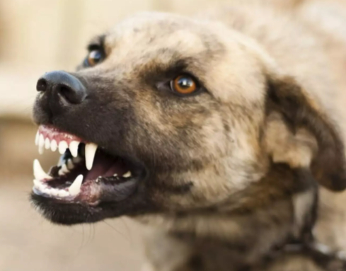 ������� ������, ��� ��� �� ���, ��� �� ���