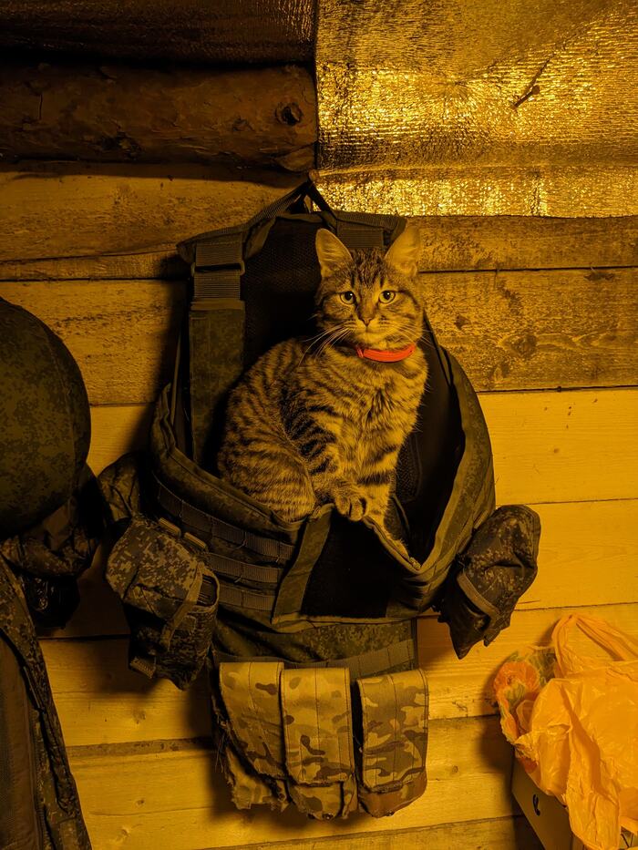    :    , , ,  , ,  ,   , 