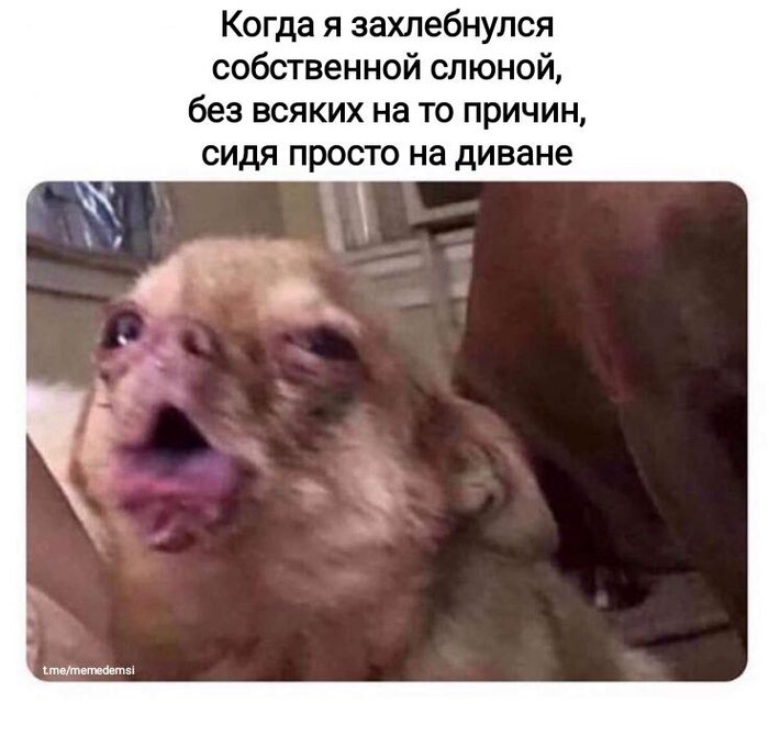    ! ,   , , , , Telegram ()