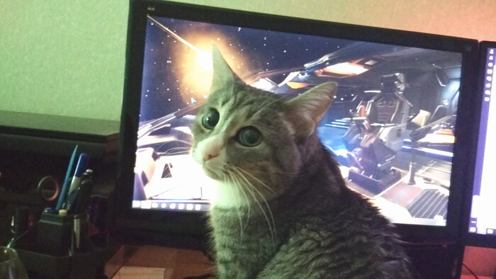 - Меня зовут Кузя