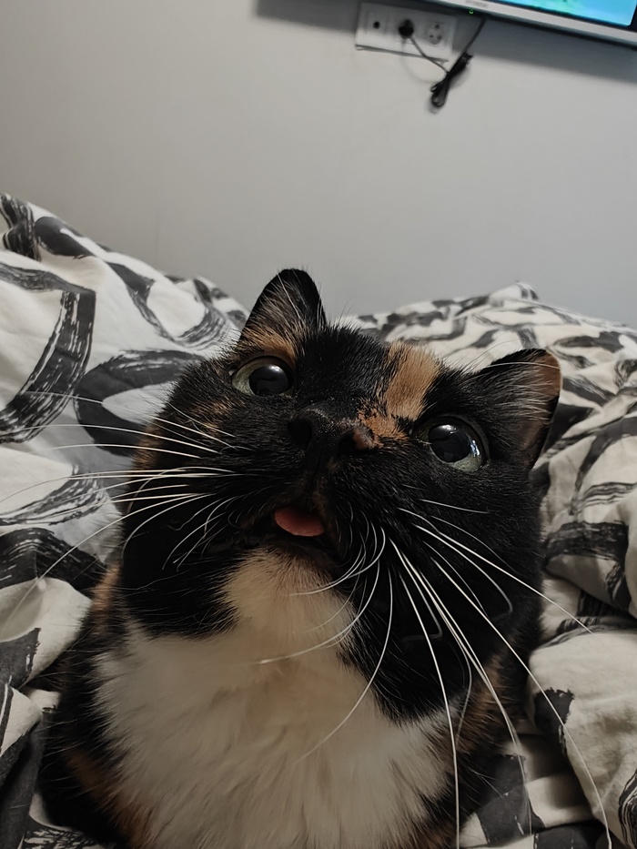    :    , , ,  , ,  , 