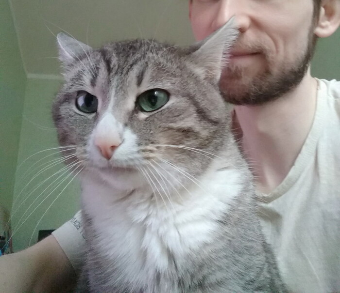 - Ну и чего, голосуют та за нас?!