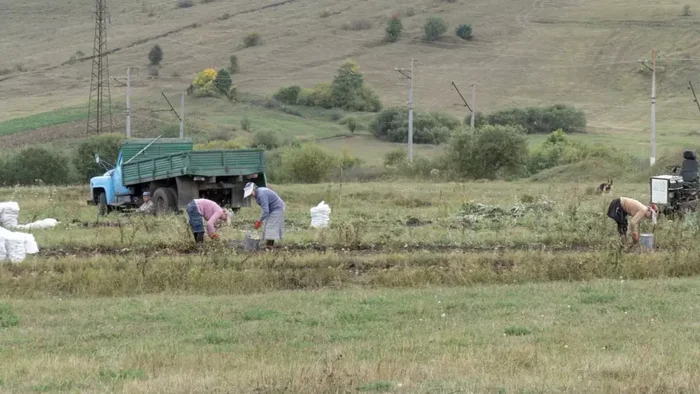 Молокане из Фиолетова. Как живет самая закрытая русская община в Армении Планета Земля, Земля, Армения, Длиннопост