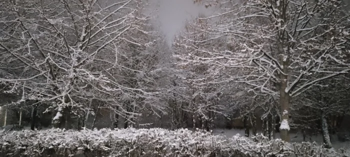 Finally winter) - My, Humor, Snow, Screenshot