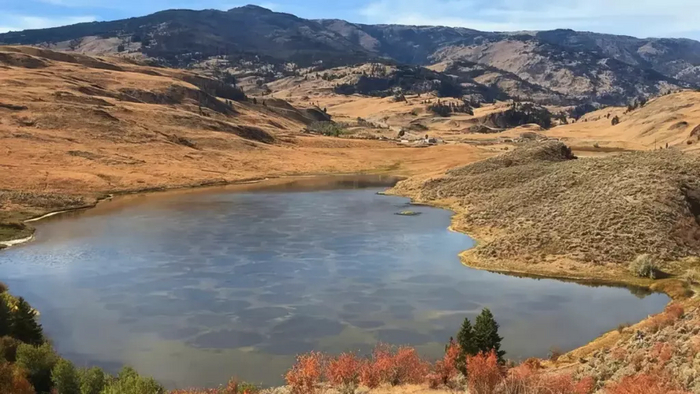 ��� ������ ����� ������ ����� �� ���������� �� ��������� ��������