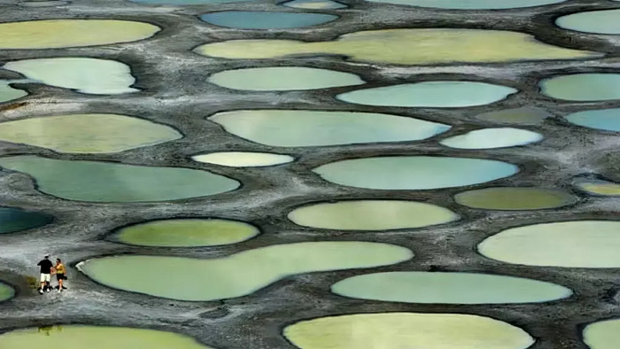 � � ��� �����