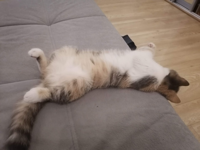 Час балдежа