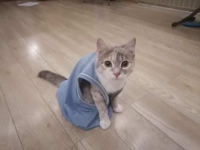 Взяла поносить майку у сына