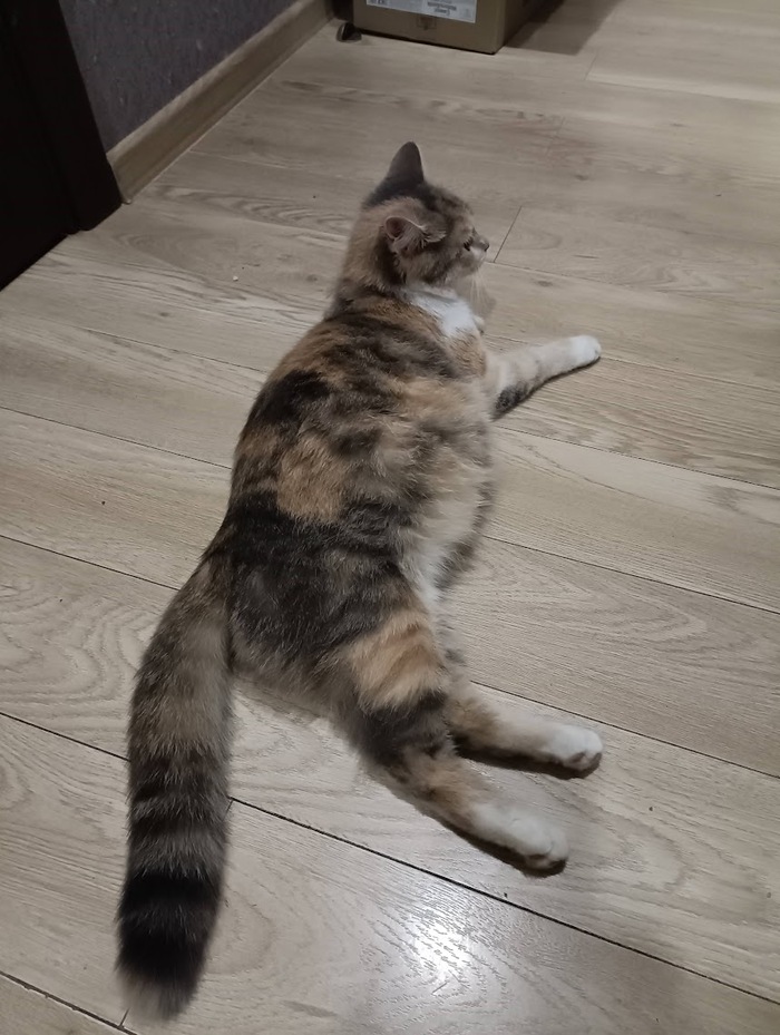 Это мы не знали что шестеро внутри