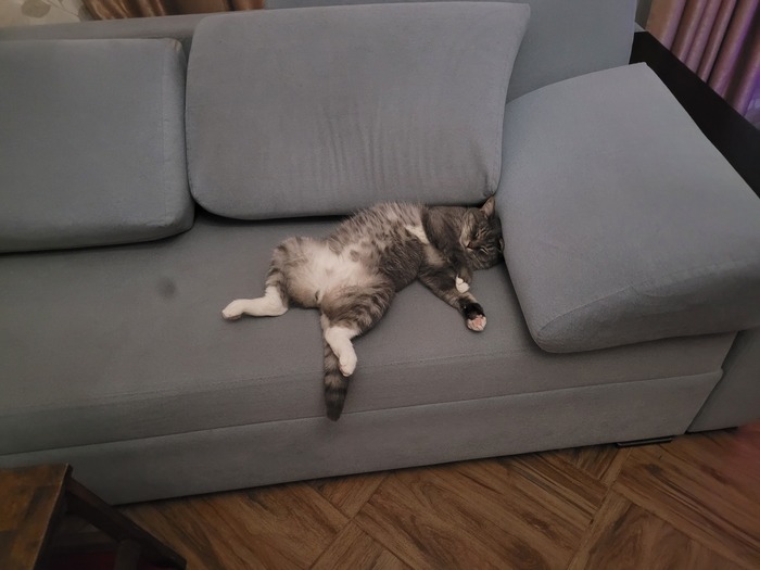    :    , , ,  , ,  ,   , 