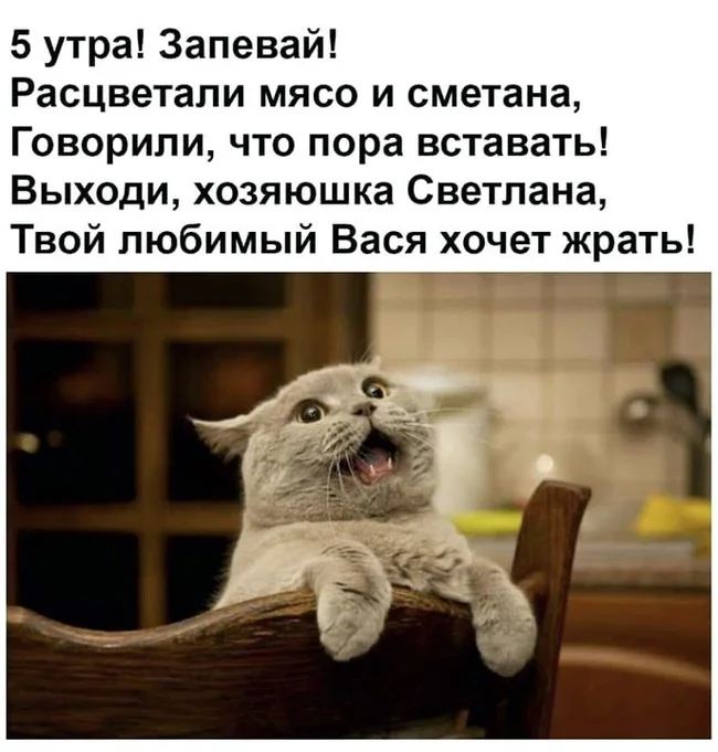 1740982845175642347.webp