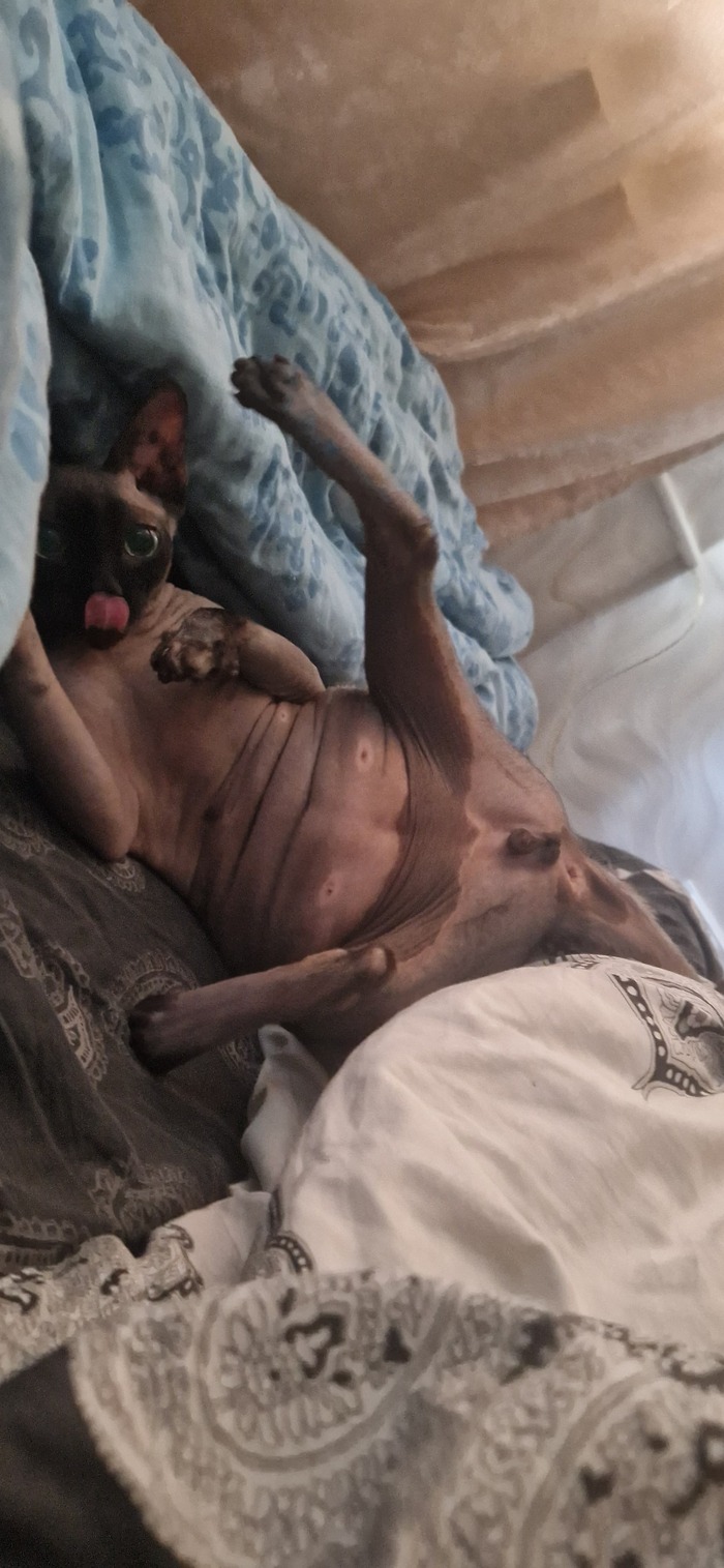 � �� ���� ��� ��� ��������������