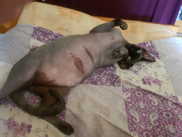 � ��� �� ����� ��� ��� ����