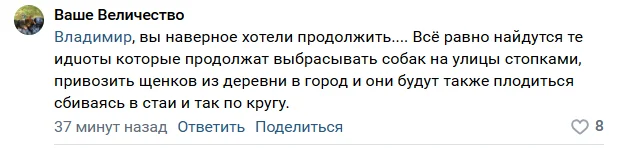 Ответ на пост «Прохожие спасли женщину с ребенком от нападения своры собак в Таганроге» - Бродячие собаки, Негатив, Видео, Вертикальное видео, Ответ на пост, ВКонтакте (ссылка)