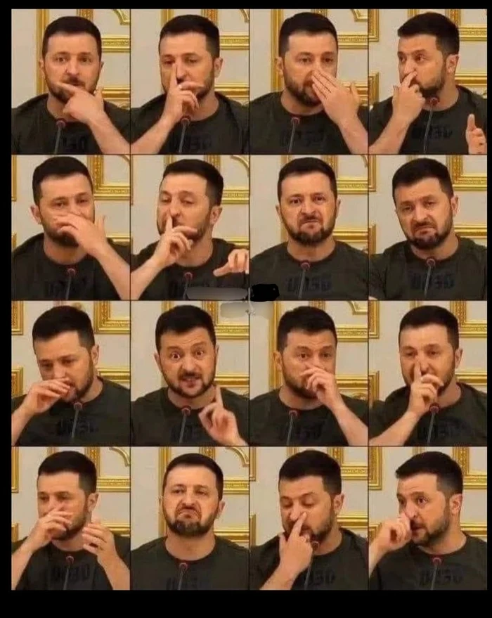 Touching diplomacy - Vladimir Zelensky, Collage