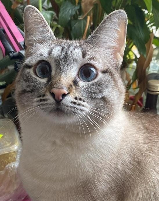    :    , , ,  , ,  , 