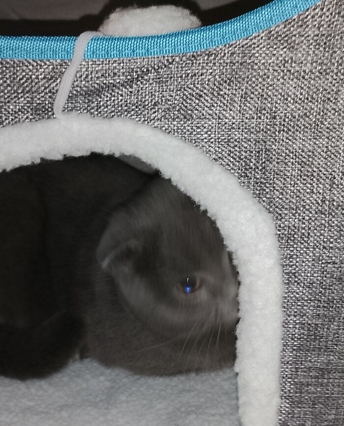   :    , , ,  , ,  ,   