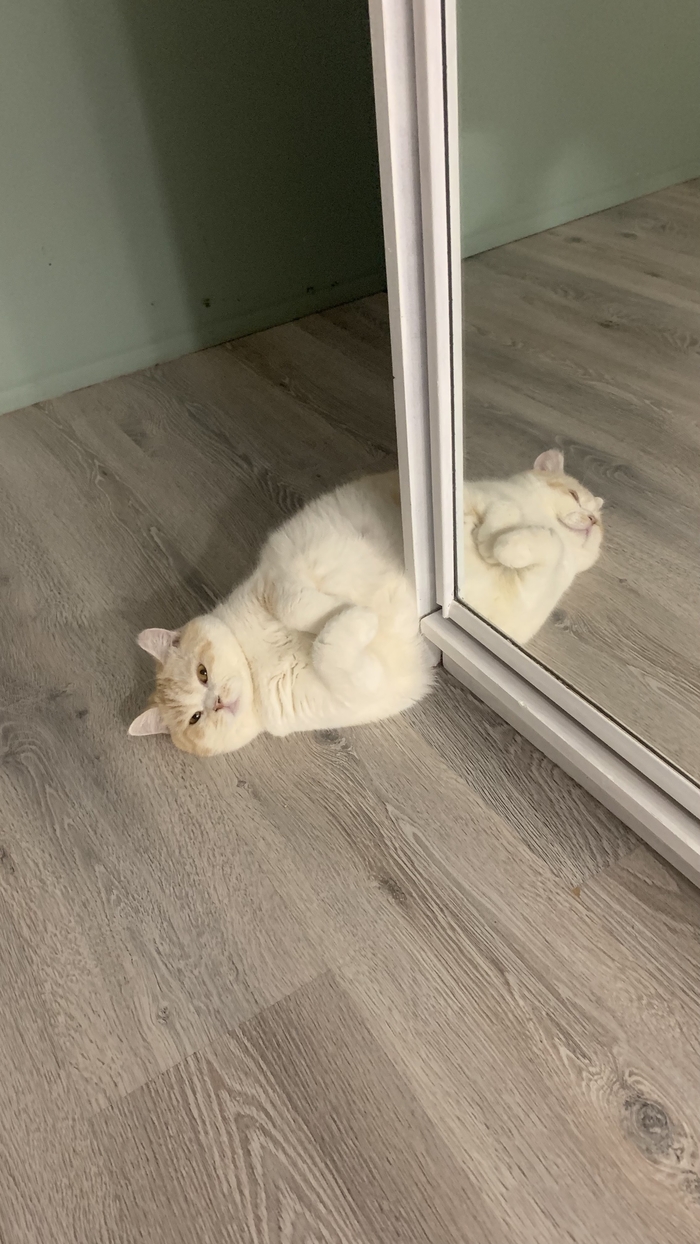   :    , , ,  , ,  ,   , 