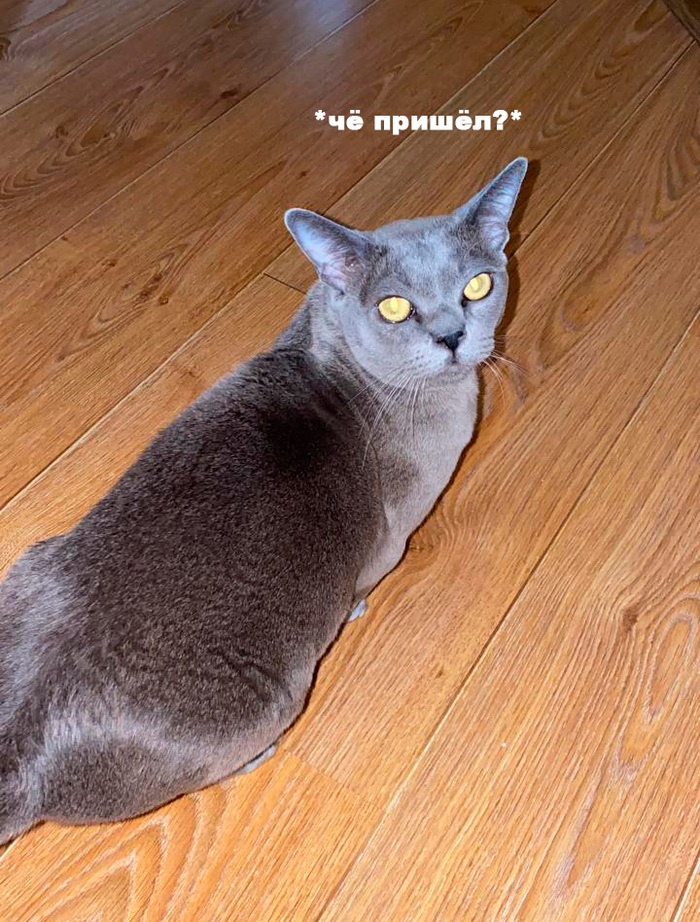 ,  ? , ,   , , , ,  , ,  , ,  , 
