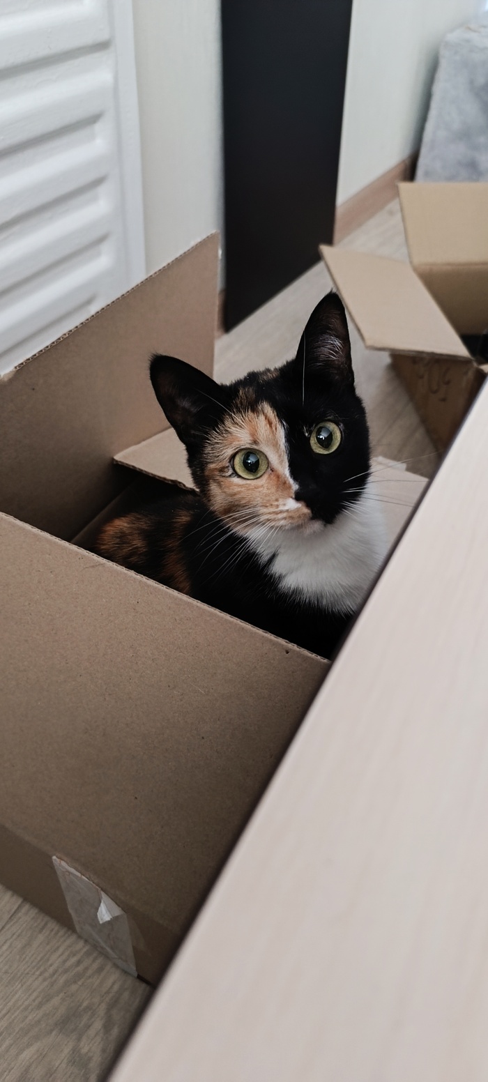    :    , , ,  , ,  ,   , 