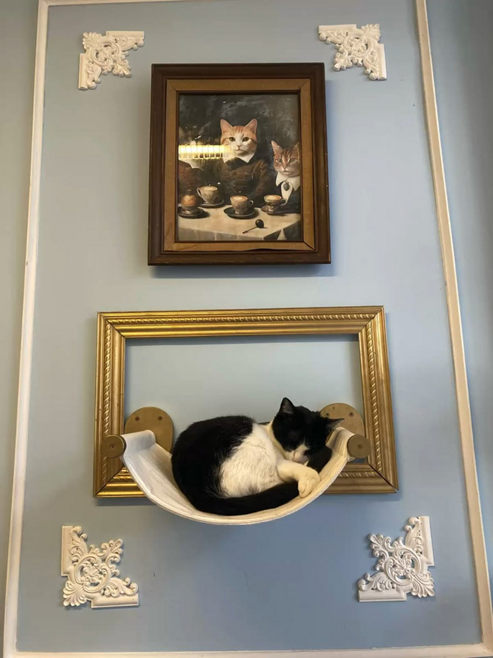 :  ". ()"  7703380158