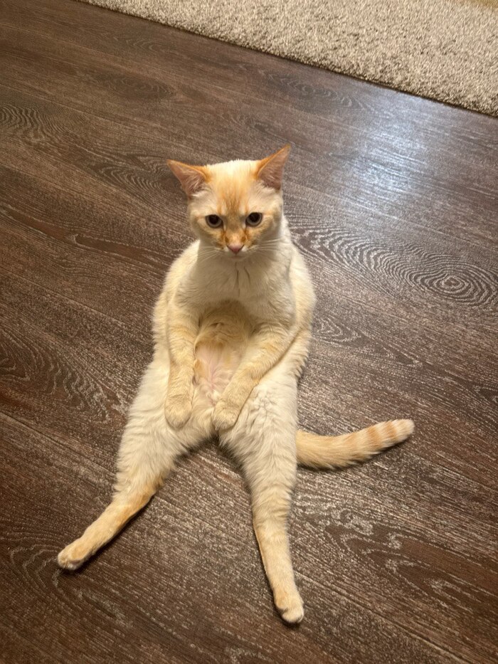    :    , , ,  , ,  ,   