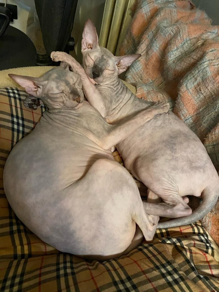    :    , , ,  , ,  ,   , 