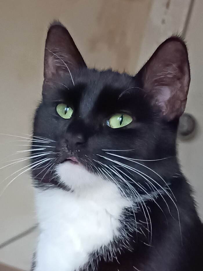    :    , , ,  , ,  ,   