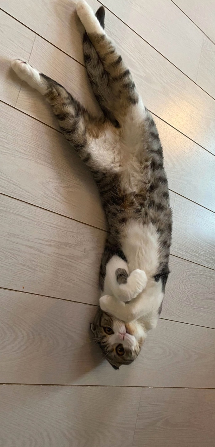    :    , , ,  , ,  ,   