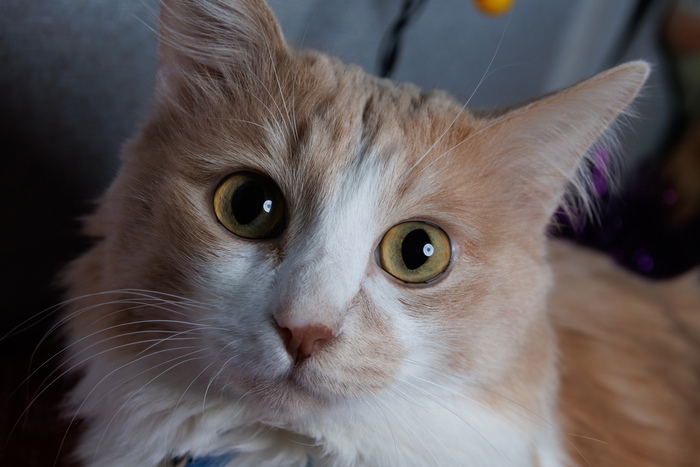    :    , , ,  , ,  ,   